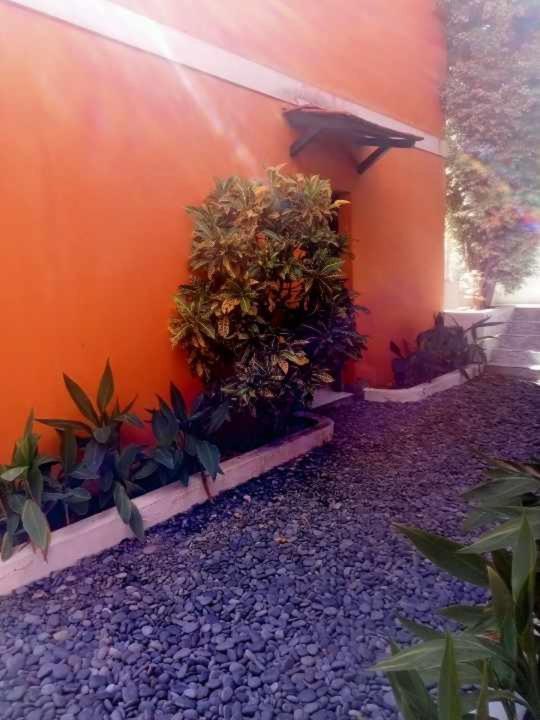 Aldeia Jerome Bed and Breakfast Paul Buitenkant foto