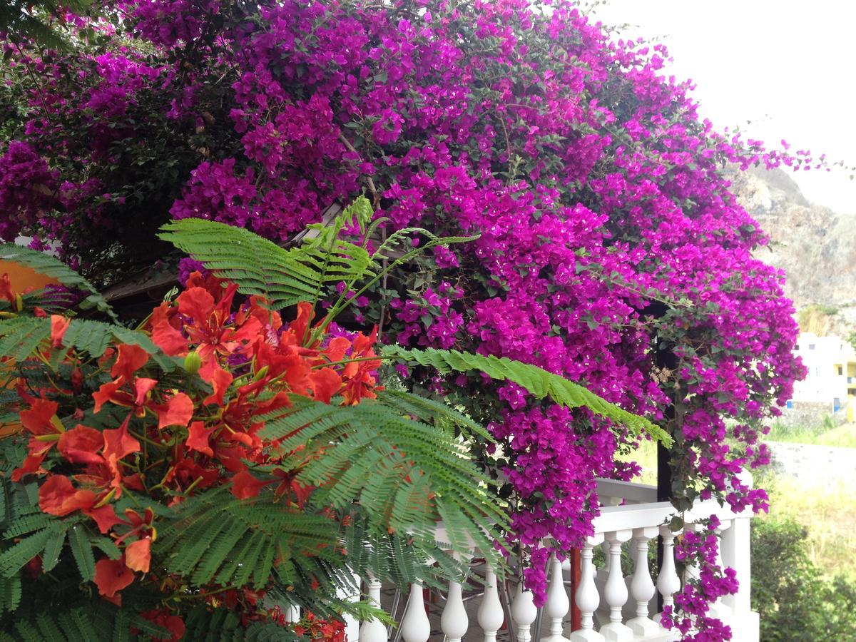Aldeia Jerome Bed and Breakfast Paul Buitenkant foto